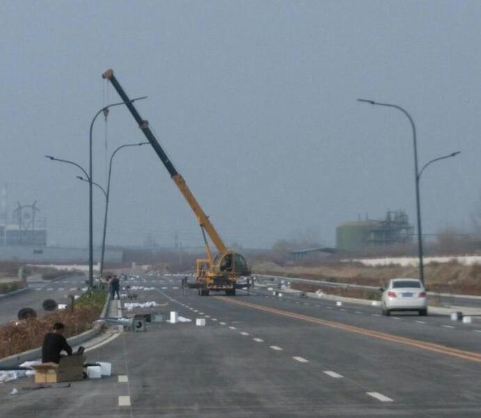 西安豐業大道(dào)路燈項目